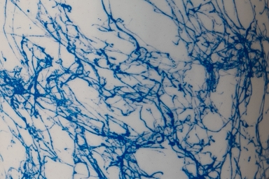 Agar WEB-FX - Cobalt Blue