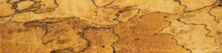 Spalted Tamarind