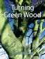 Turning Green Wood by Michael O'Donnell