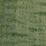 Agar CC Dye Marker - Olive Green