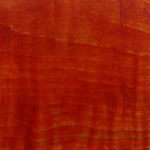 Agar CC Dye Marker - Coral Red