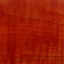 Agar CC Dye Marker - Coral Red