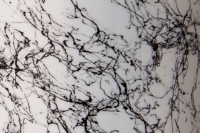 Agar WEB-FX - Black