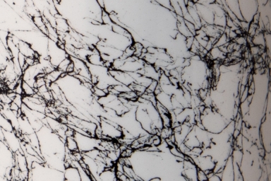 Agar WEB-FX - Black