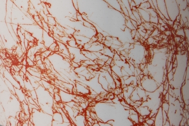 Agar WEB-FX - Terracotta