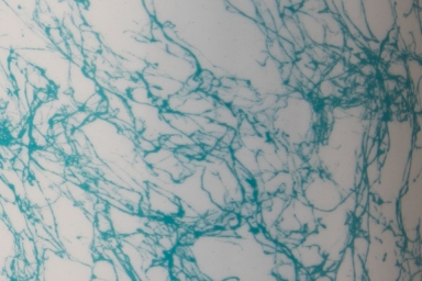 Agar WEB-FX - Turquoise