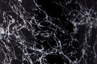 Agar WEB-FX - White