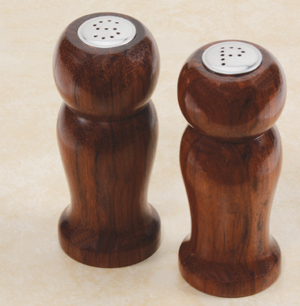 Salt and Pepper Shaker Set Kit