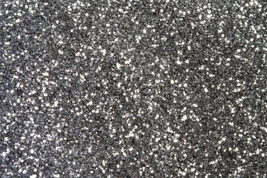 Silver Metallic Dust