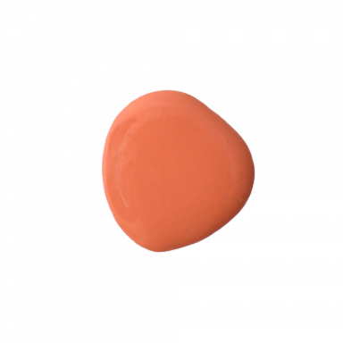 Salmon Milk Paint - Quart