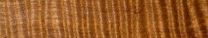 3/4"sq. Australian Curly Eucalyptus (1)