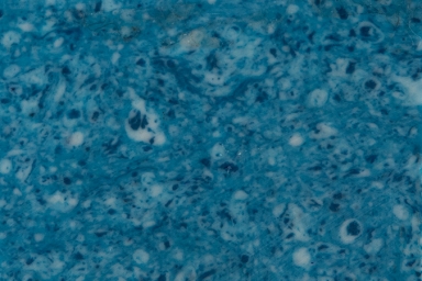 TruStone 1-1/2" Lt Denim Lapis