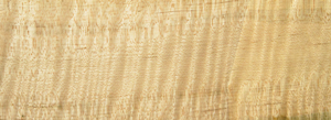 3/4" Curly Maple (pkg of 5)