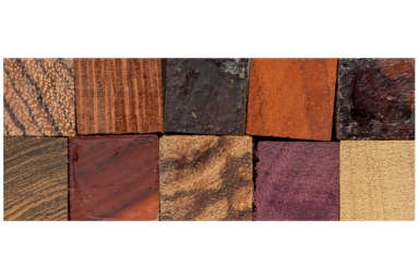 Exotic Pen Blank Assortment (10)