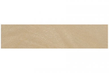 3/4" American Holly (pkg of 5)