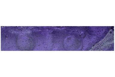 Acrylester 3/4" Deep Purple