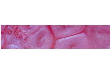 Acrylester 3/4" Pink Sky
