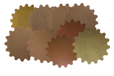3" Gold Wave Assortment - 10 each all grits