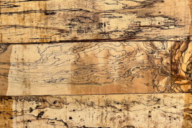 Spalted Tamarind - 3"sq x 12"