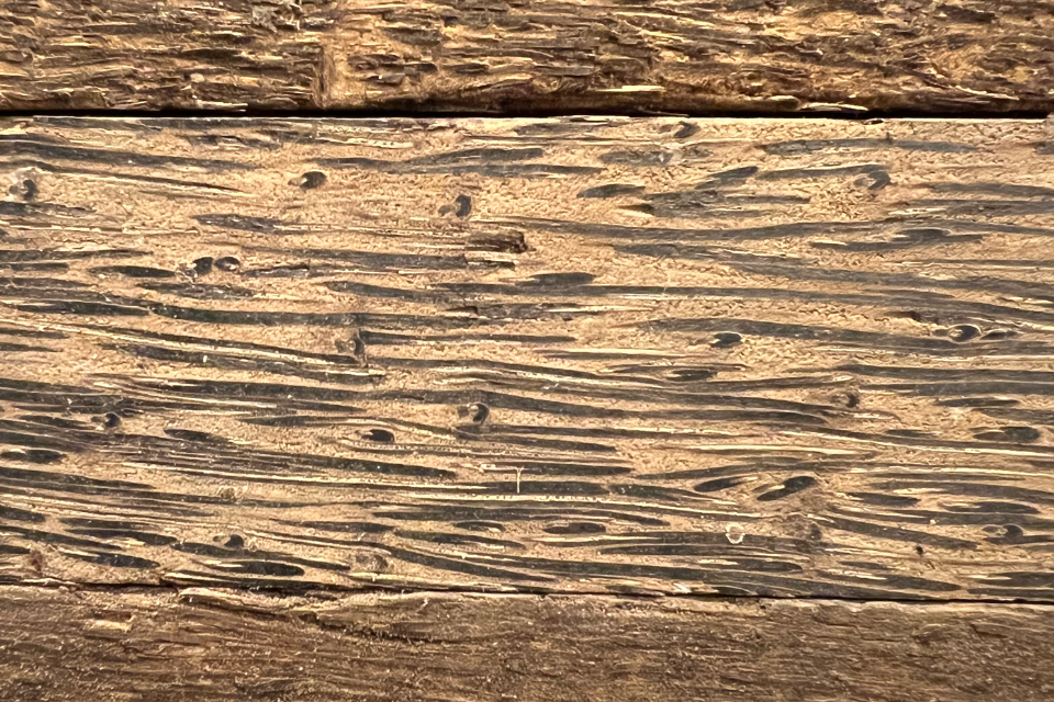 Packard Woodworks: The Woodturner's Source: Black Palm - 2